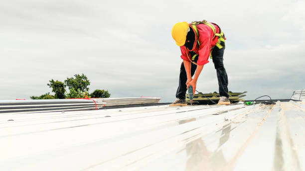 Best Emergency Roof Repair Services  in Wadena, MN