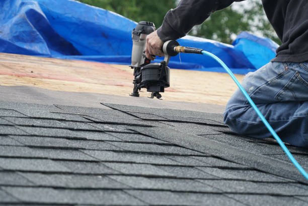 Best Commercial Roofing Services  in Wadena, MN